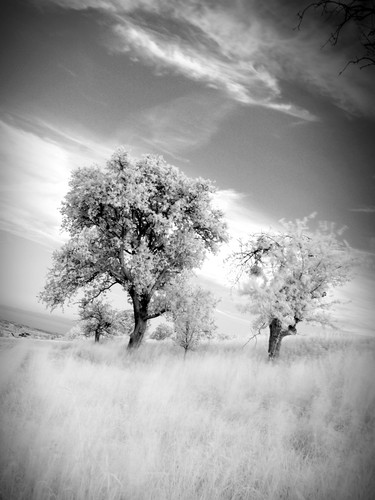 Altenberg, Austria | 2009