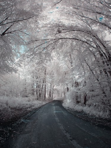 Altenberg, Austria | 2010