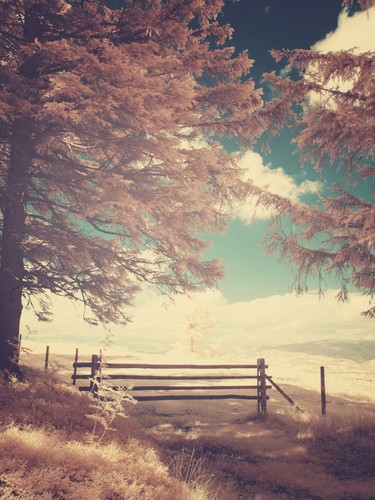Masenberg, Austria | 2010
