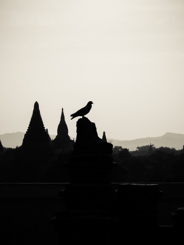 Bagan, Myanmar | 2015