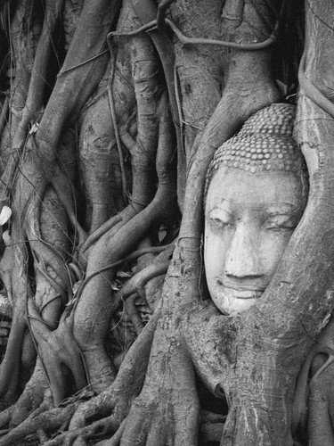 Phra Nakhon, Thailand | 2015