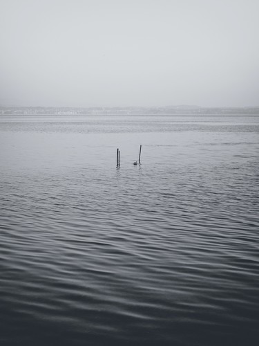 Lago di Garda, Italy | 2017