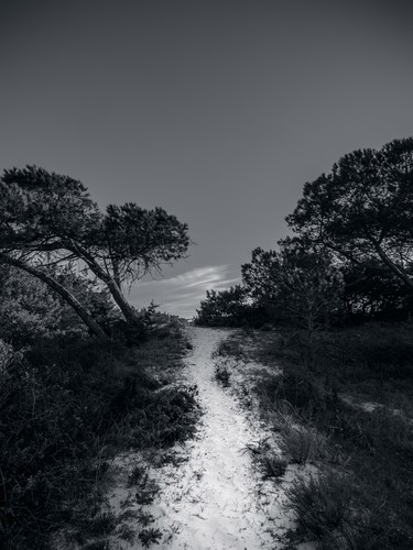 Sardinia, Italy | 2017