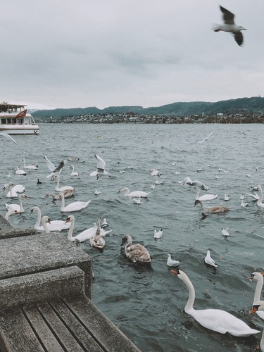 Zürich, Switzerland | 2017