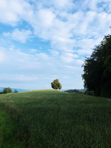 Albis, Switzerland | 2018