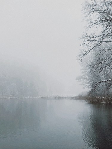 Türlersee, Switzerland | 2019