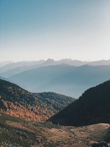 South Tyrol, Italy | 2019