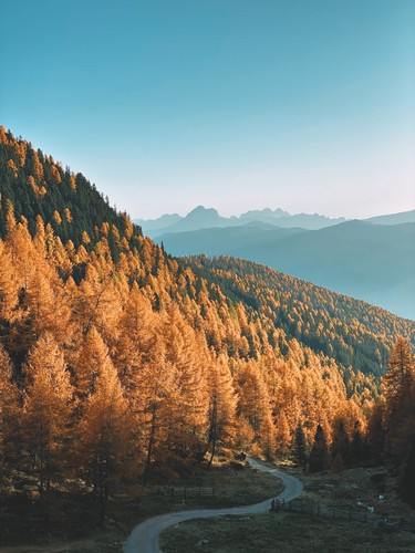 South Tyrol, Italy | 2019