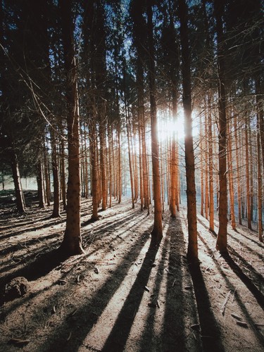 Altenberg, Austria | 2019