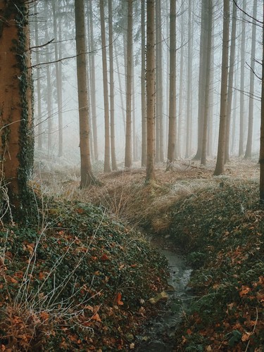 Affoltern am Albis, Switzerland | 2020