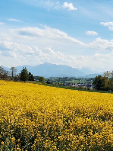 Affoltern am Albis, Switzerland | 2020
