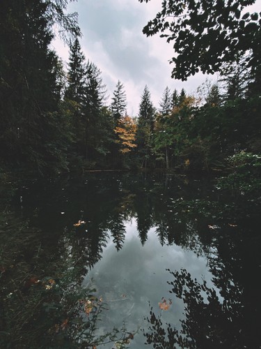 Wald, Switzerland | 2020