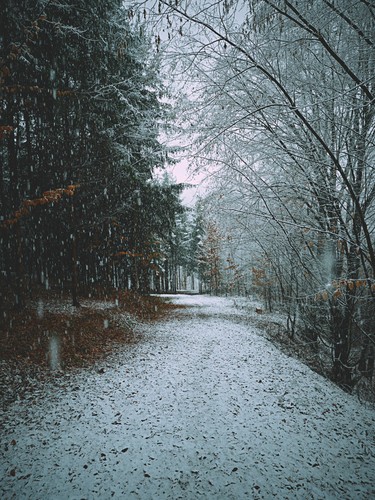Altenberg, Austria | 2021