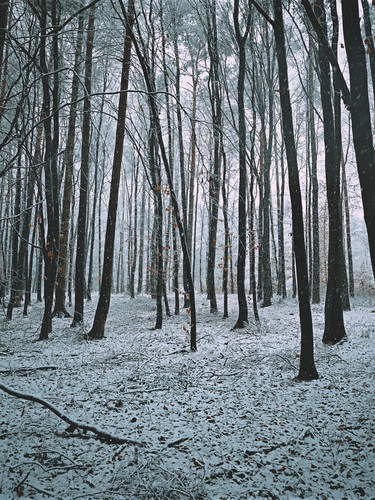Altenberg, Austria | 2021