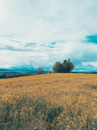 Affoltern am Albis, Switzerland | 2021