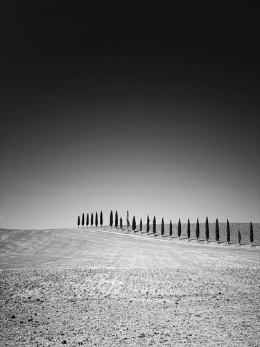 Toscana, Italy | 2021