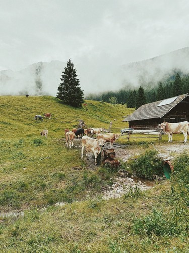 Gesäuse, Austria | 2025