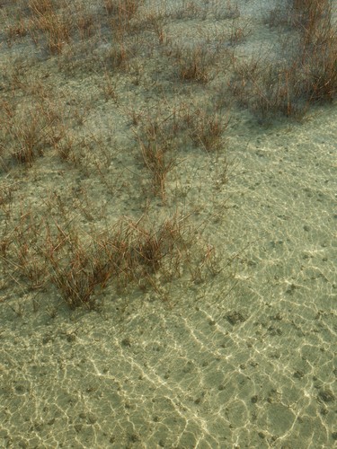 Bacalar, Mexico | 2026