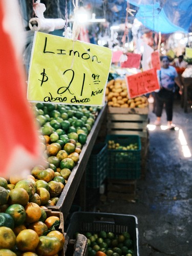 Merida, Mexico | 2026