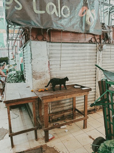 Merida, Mexico | 2026