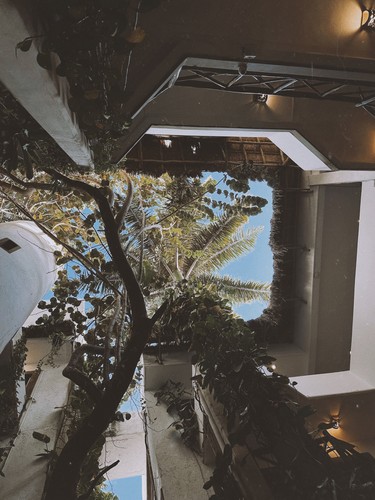 Playa del Carmen, Mexico | 2026