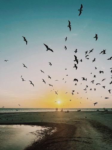 Isla Holbox, Mexico | 2026