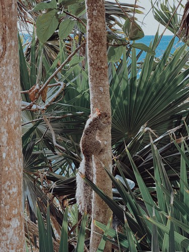 Tulum, Mexico | 2026